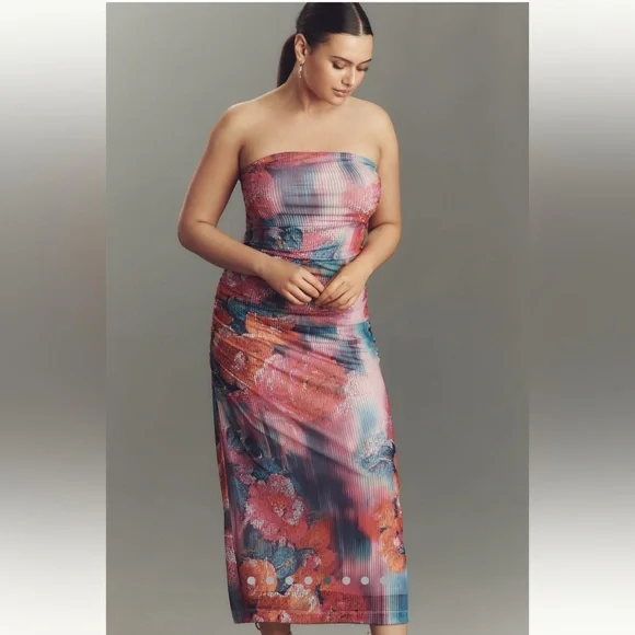 NWT Elegant The Soleil ruched mesh Dress from Anthropologie - Picture 5 of 9